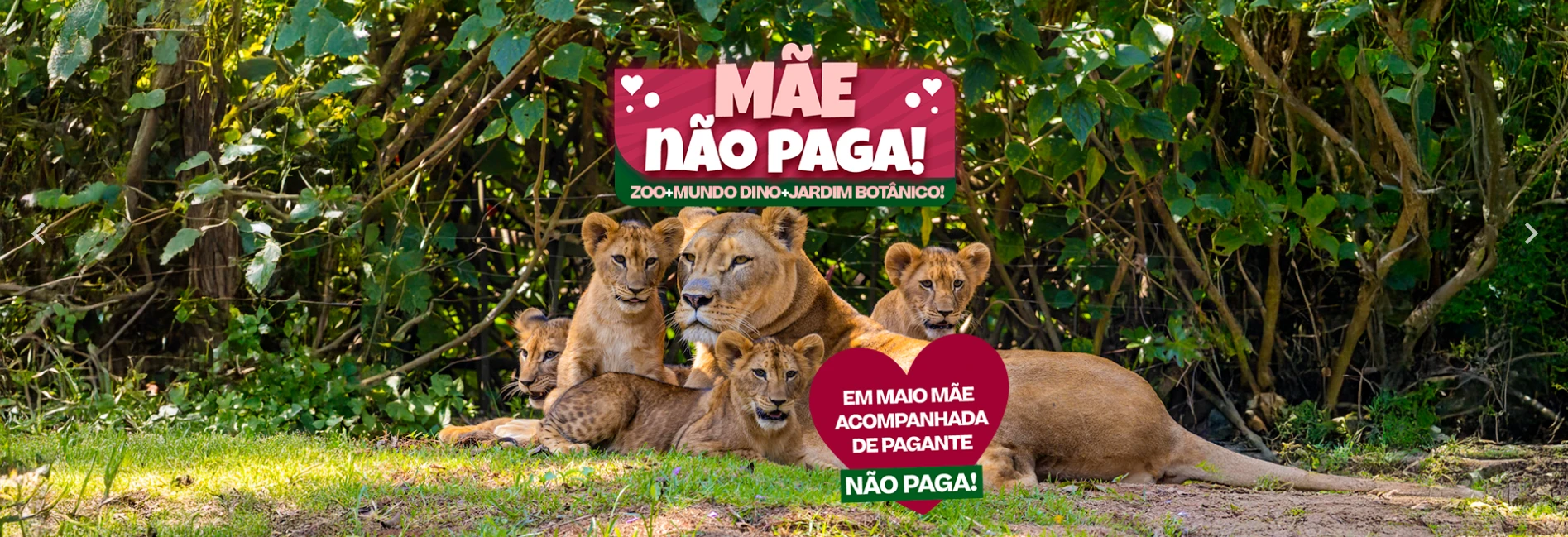 Jardim Botânico SP
